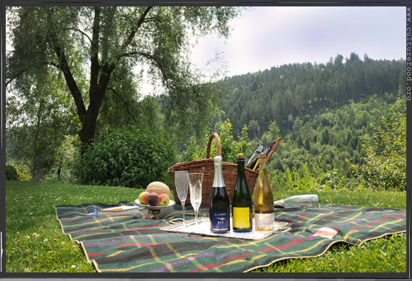 sommerpicknick