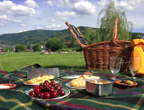 Das perfekte Picknick