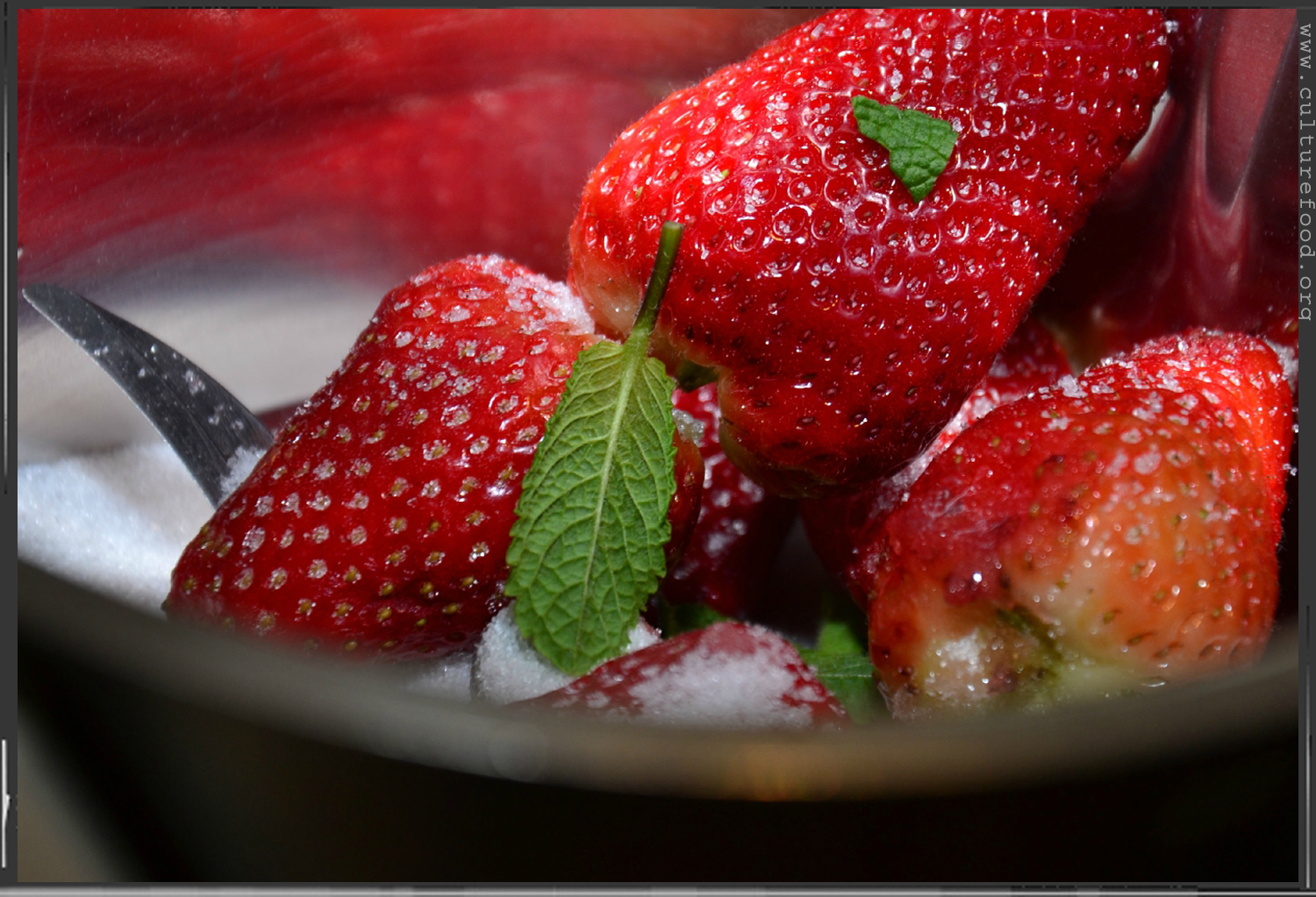 erdebeermousse4