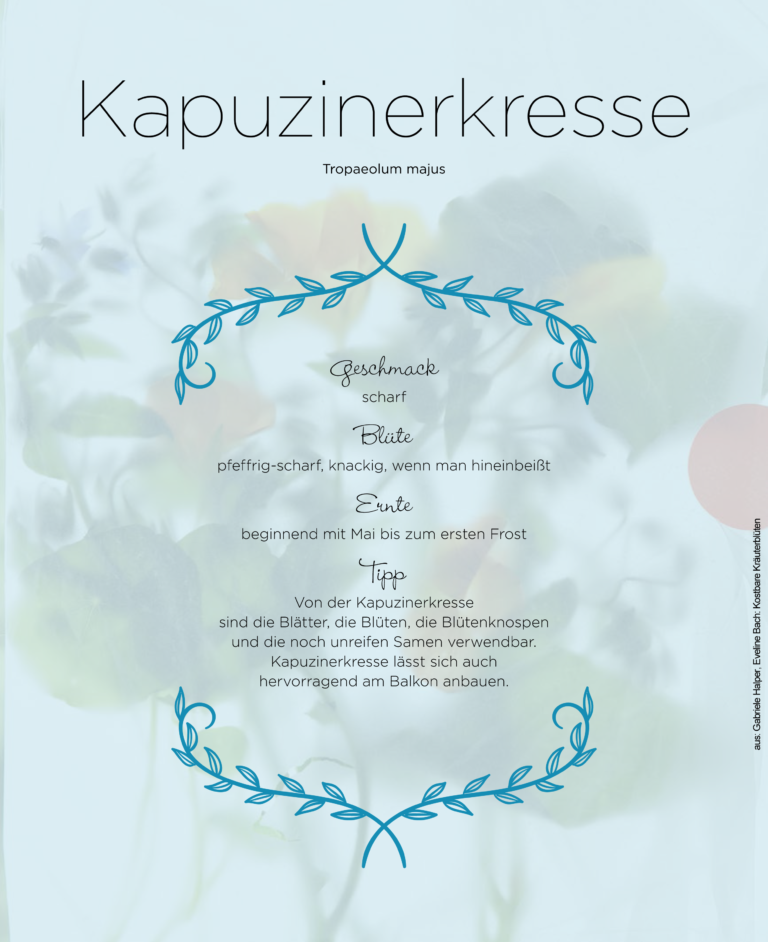 buch2