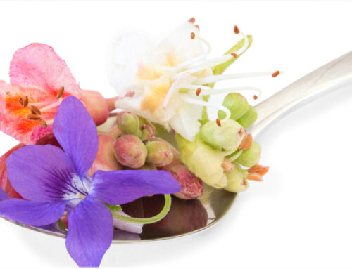 Kostbare Kräuterblüten