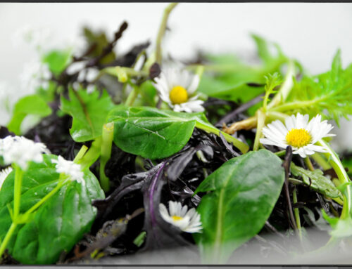 Inspiration: Blüten- und Kräutersalat